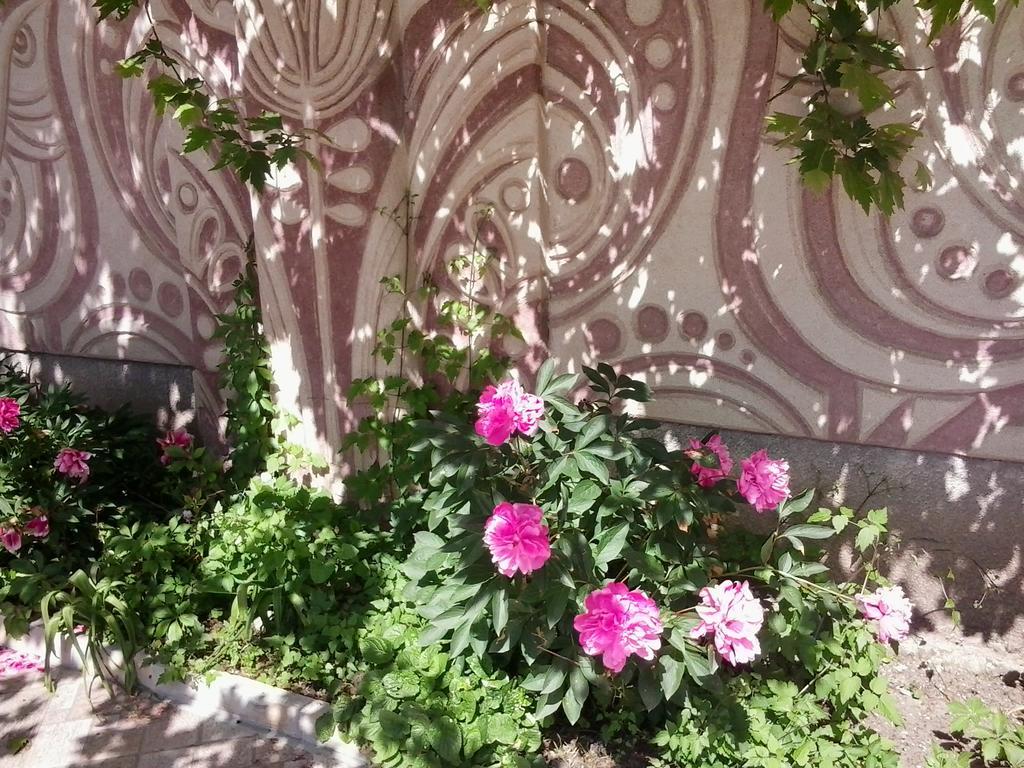 Hotel Focus Varna Luaran gambar